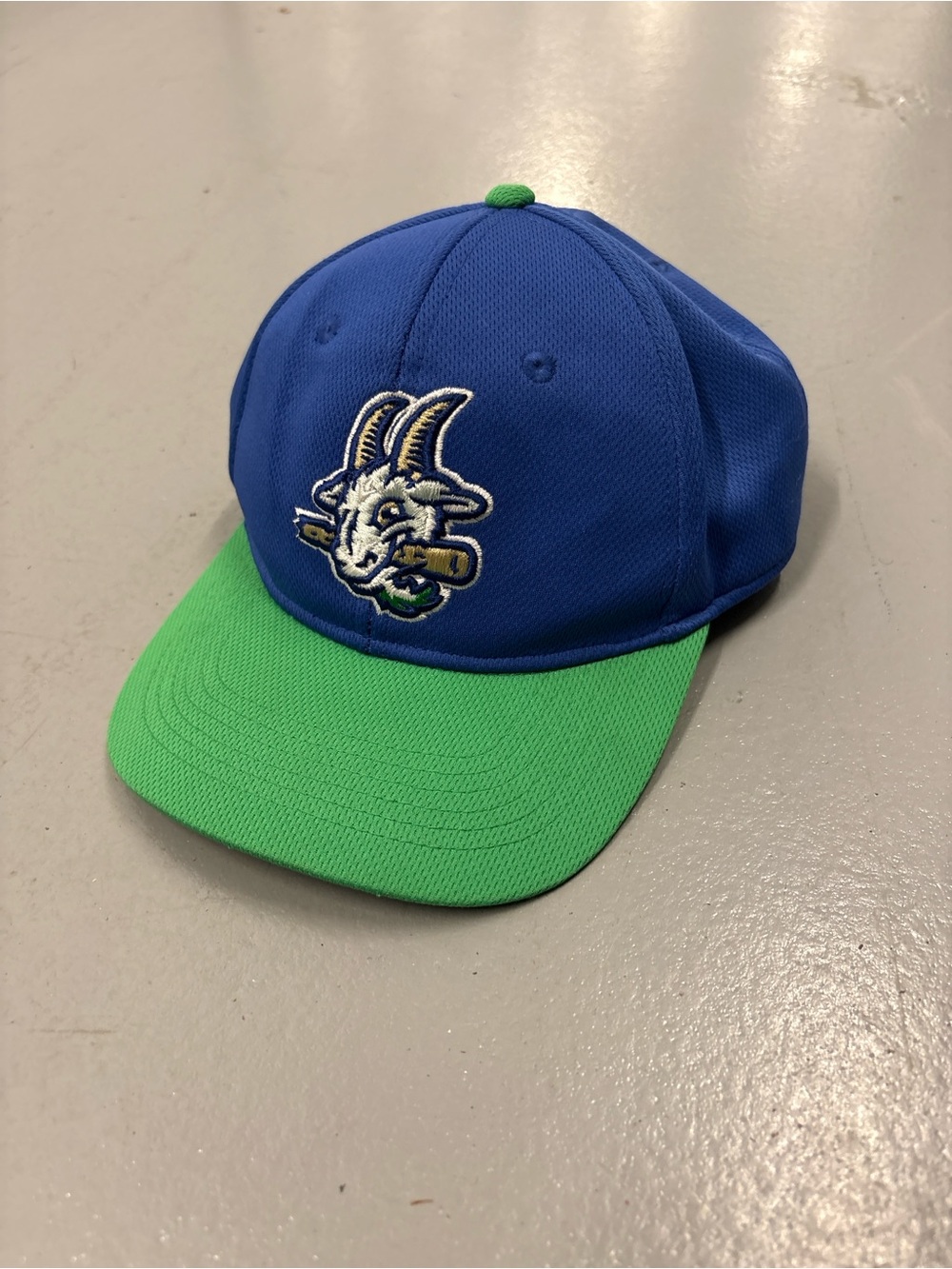 Hartford Yardgoats Blue and Green Baseball Cap with Goat Logo - Brand Unknown